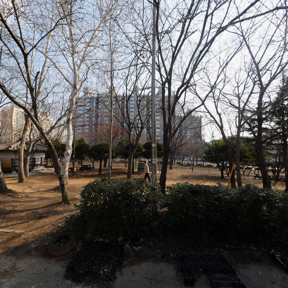 올리브파래김1+1 썸네일 2