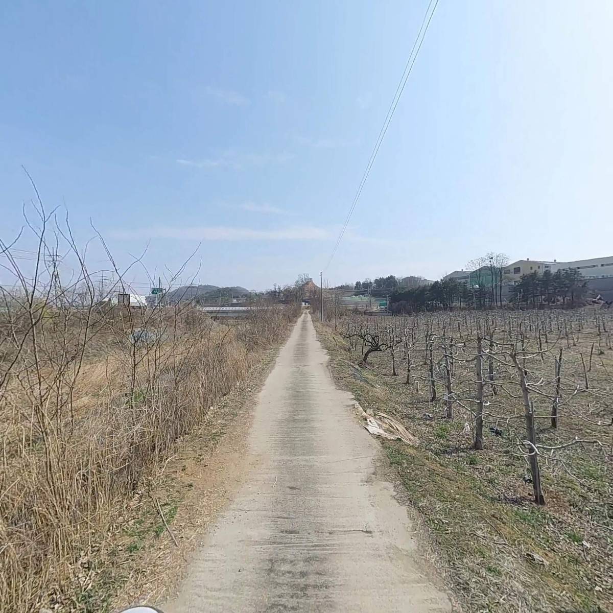은하A단무지 썸네일 3