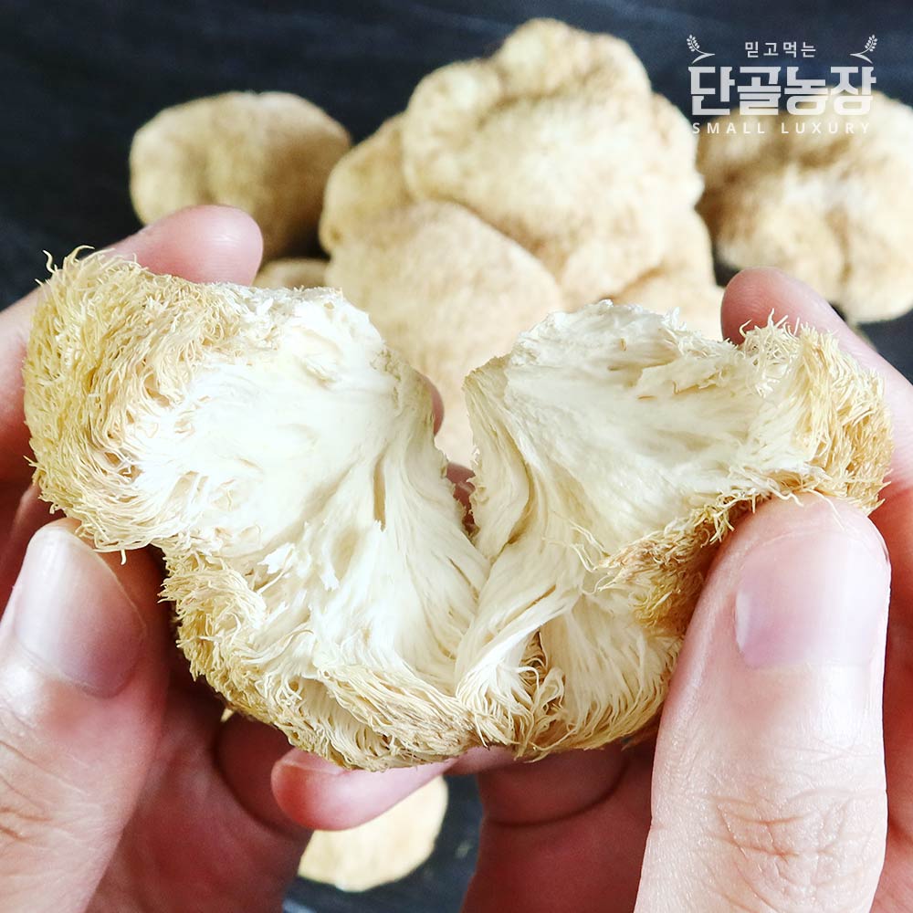 노루궁뎅이버섯발효분말팩 200g 썸네일 3