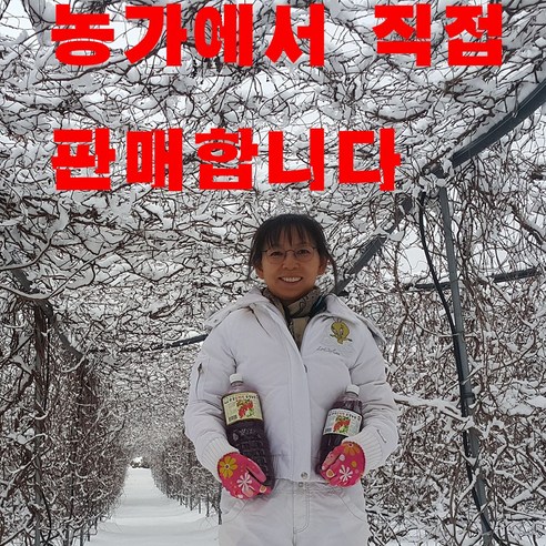 올담 오미자청 375ml 썸네일 3