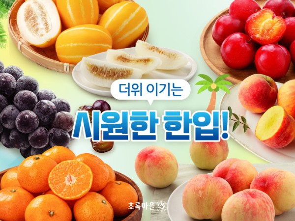 초록마을항아리숙성오미자차1200g 썸네일 2