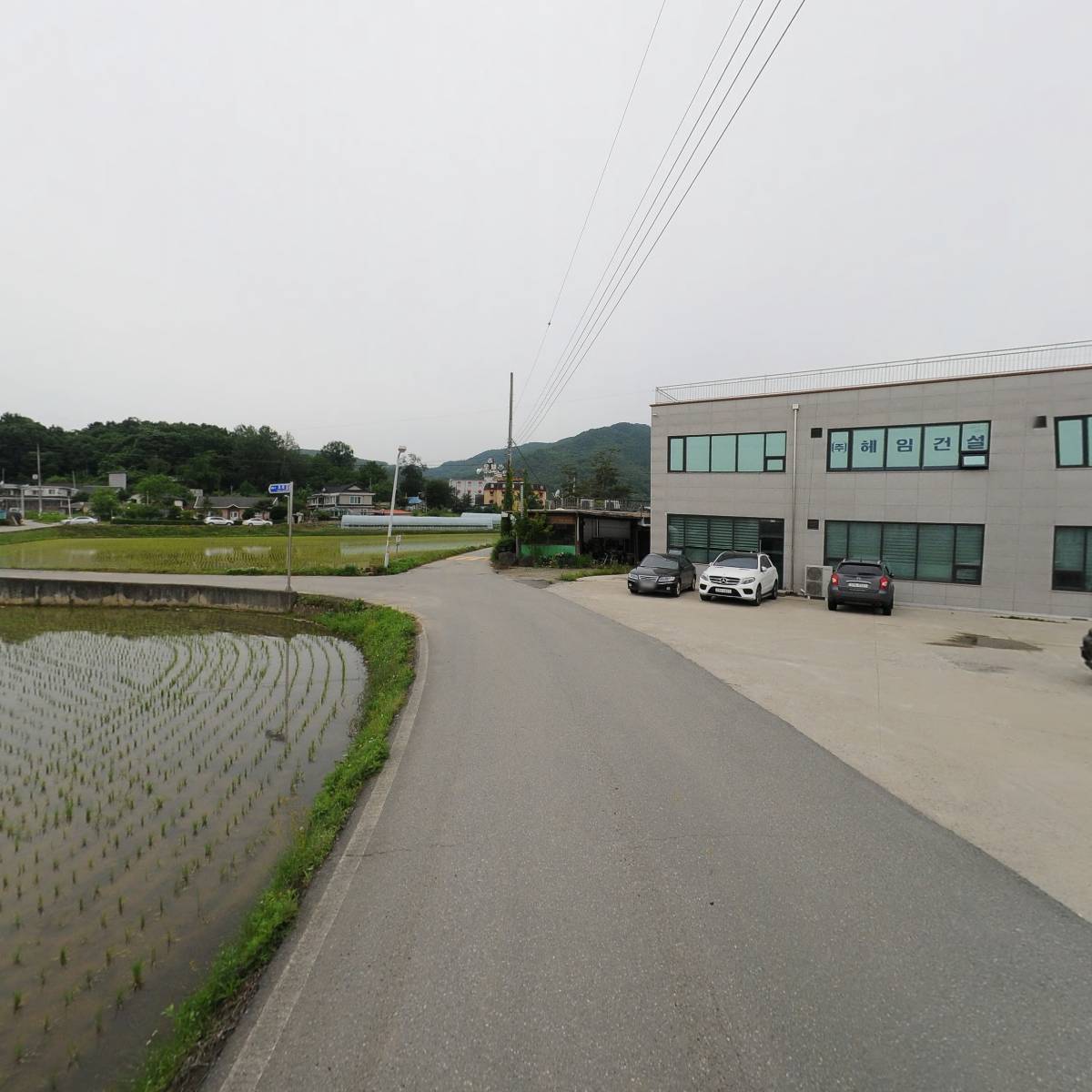 국)토란대 썸네일 2