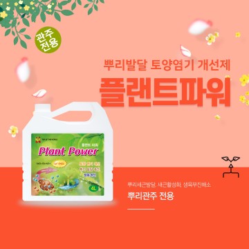 ㈜한국바이오플랜트 유기농 백미 직반 210g 썸네일 3