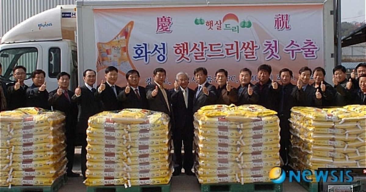 햇살드리(식탁김) 썸네일 3