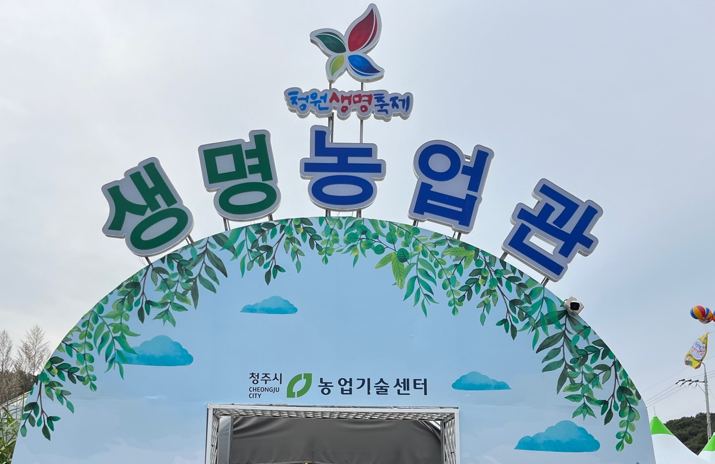 마이산생명농업소토실도라지즙80ml 썸네일 3