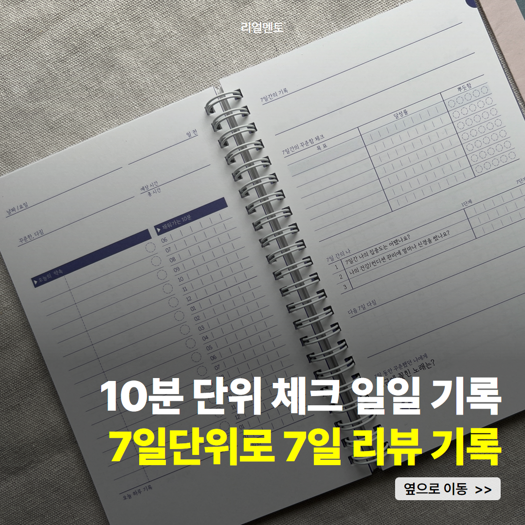 100일 플래너 썸네일 3