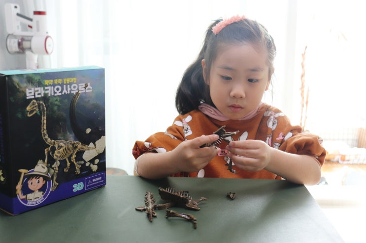 A)공룡화석발굴키트 썸네일 3