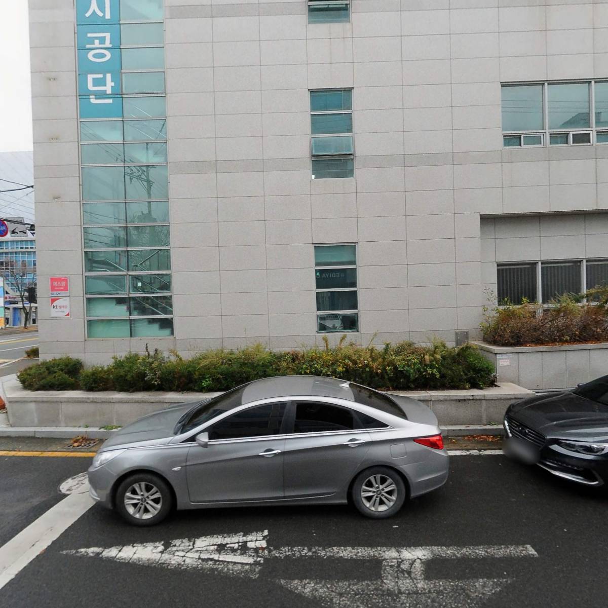해삼홍 건해삼 명작 500 썸네일 2