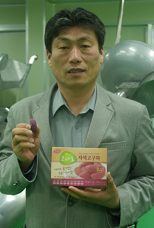 미니고구마(500g) 썸네일 2