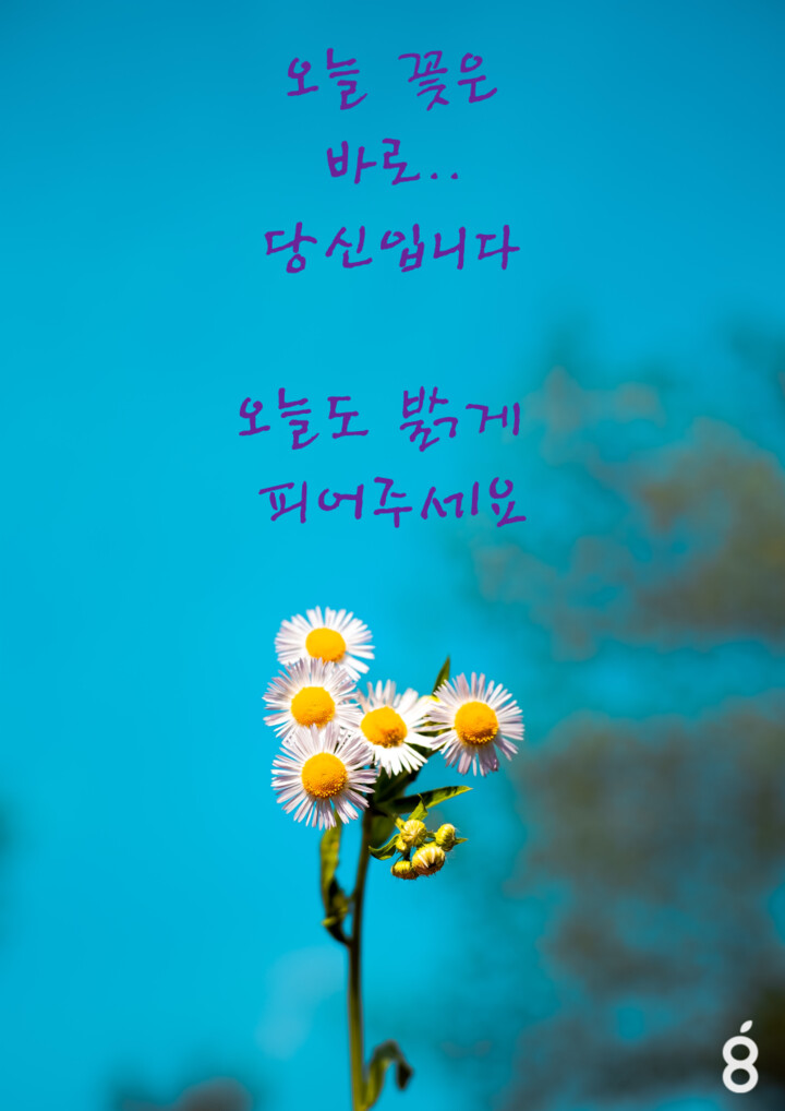 한맥 피자리오 썸네일 3