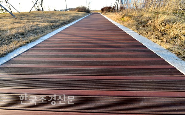 봉밀모과차 썸네일 2