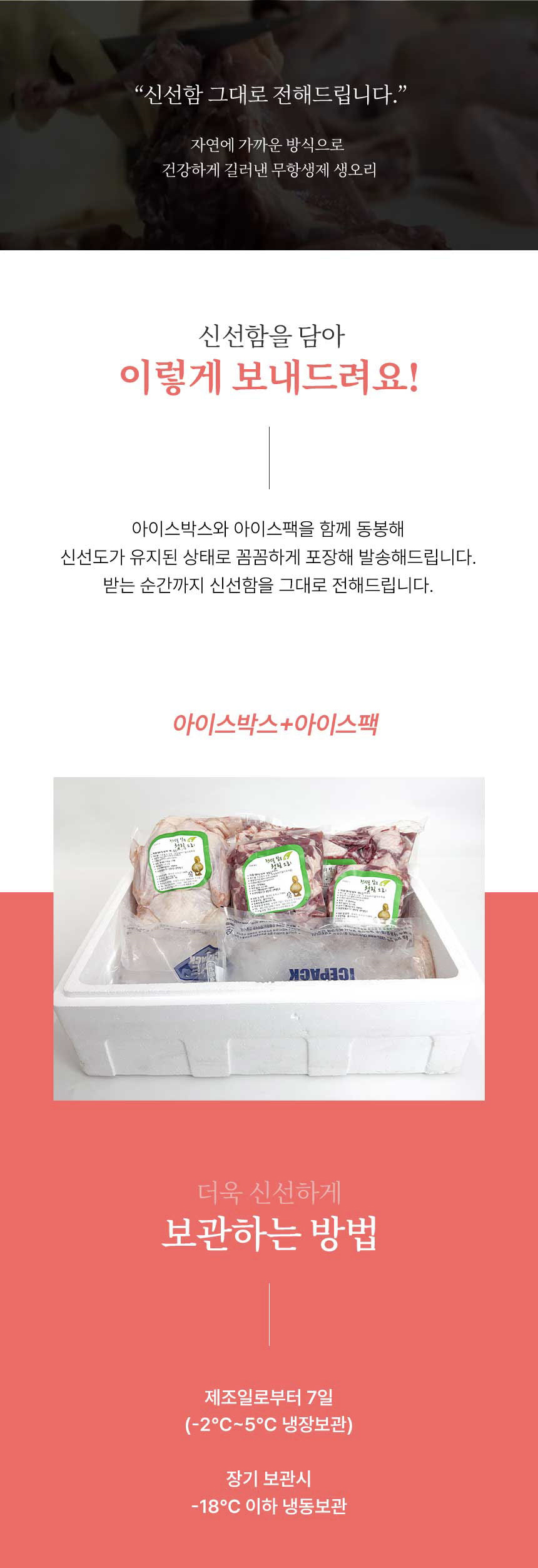 겉절이10kg 썸네일 3
