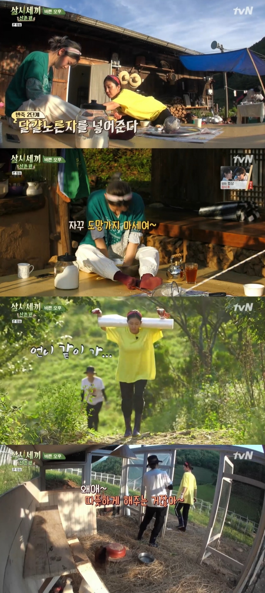 만두피 썸네일 2