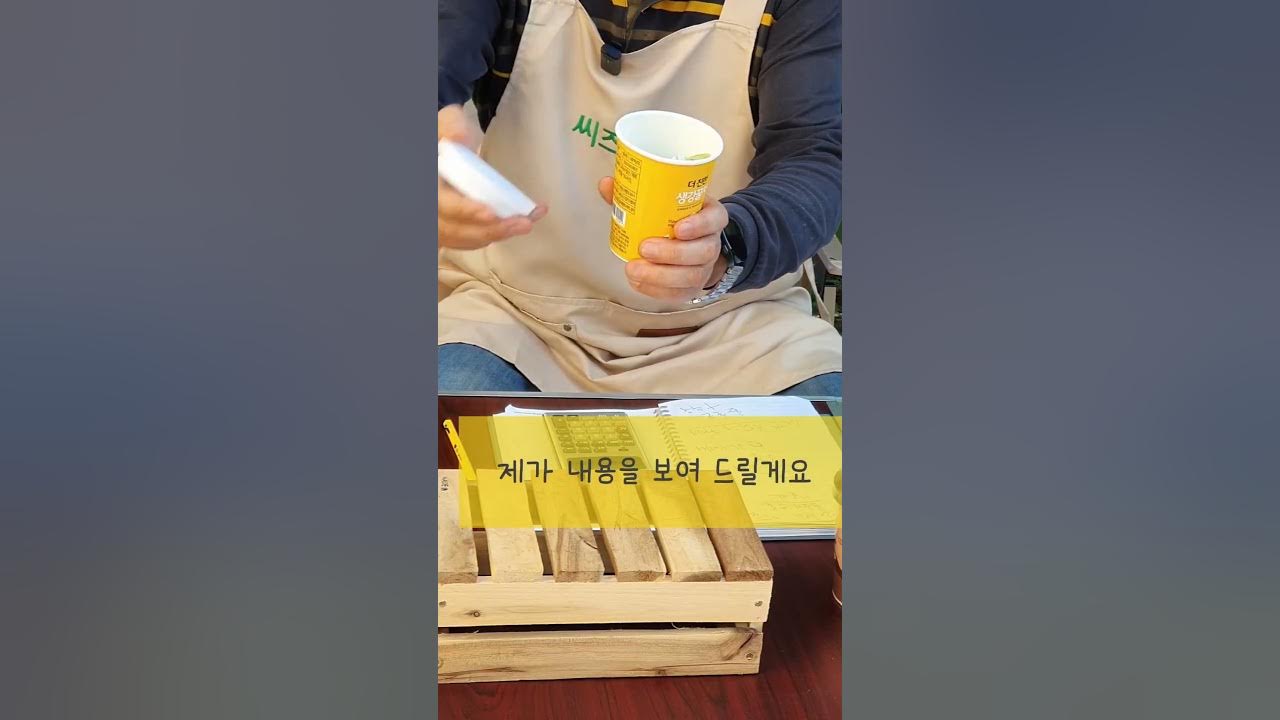 청)씨즈(솔잎꿀차/8p) 썸네일 3