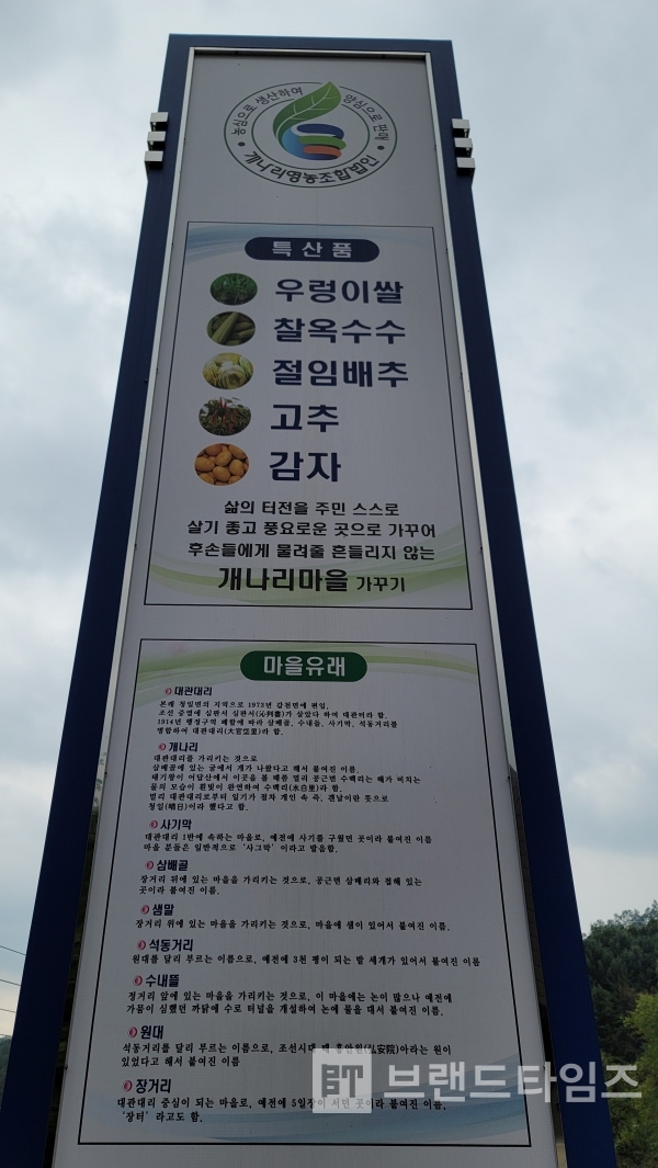 늘해랑서리태뻥 썸네일 2