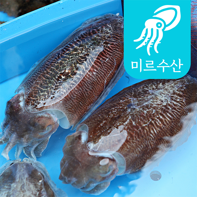 제주일품수산 소매황돔 1kg 썸네일 2