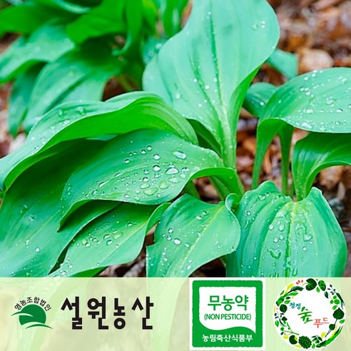 다루인진쑥환 150G 썸네일 3