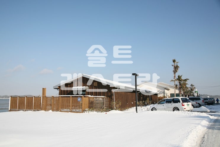 함초원 함초청국장 썸네일 2