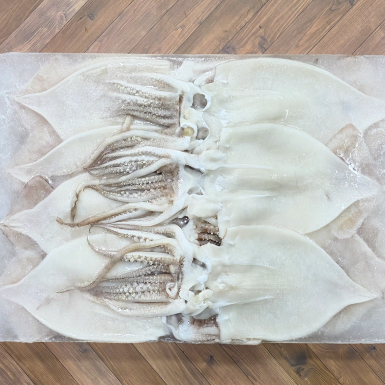 오징어할복(무탈피) 1kg(3~4미) 썸네일 3