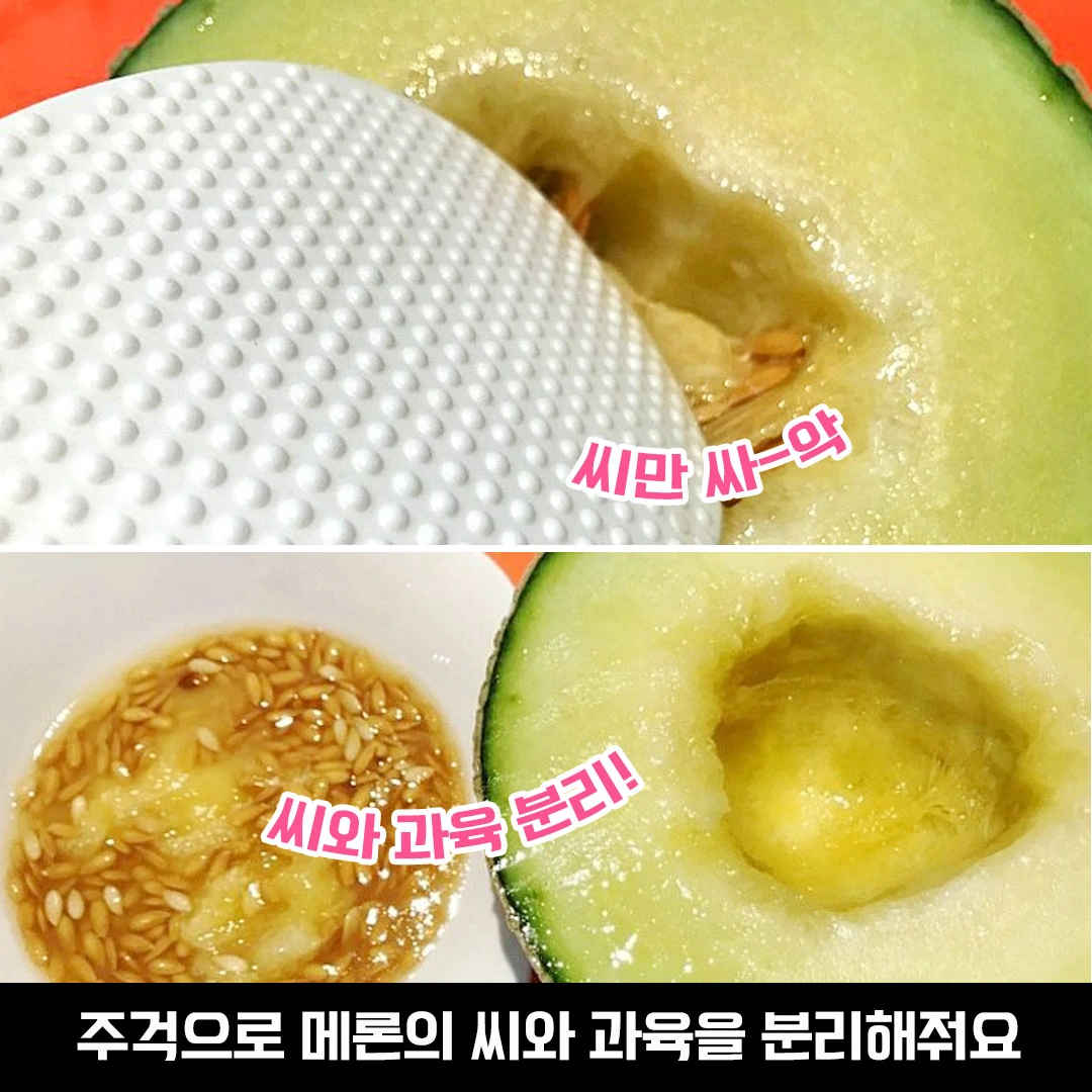 오리얼후레이크 메론 썸네일 2