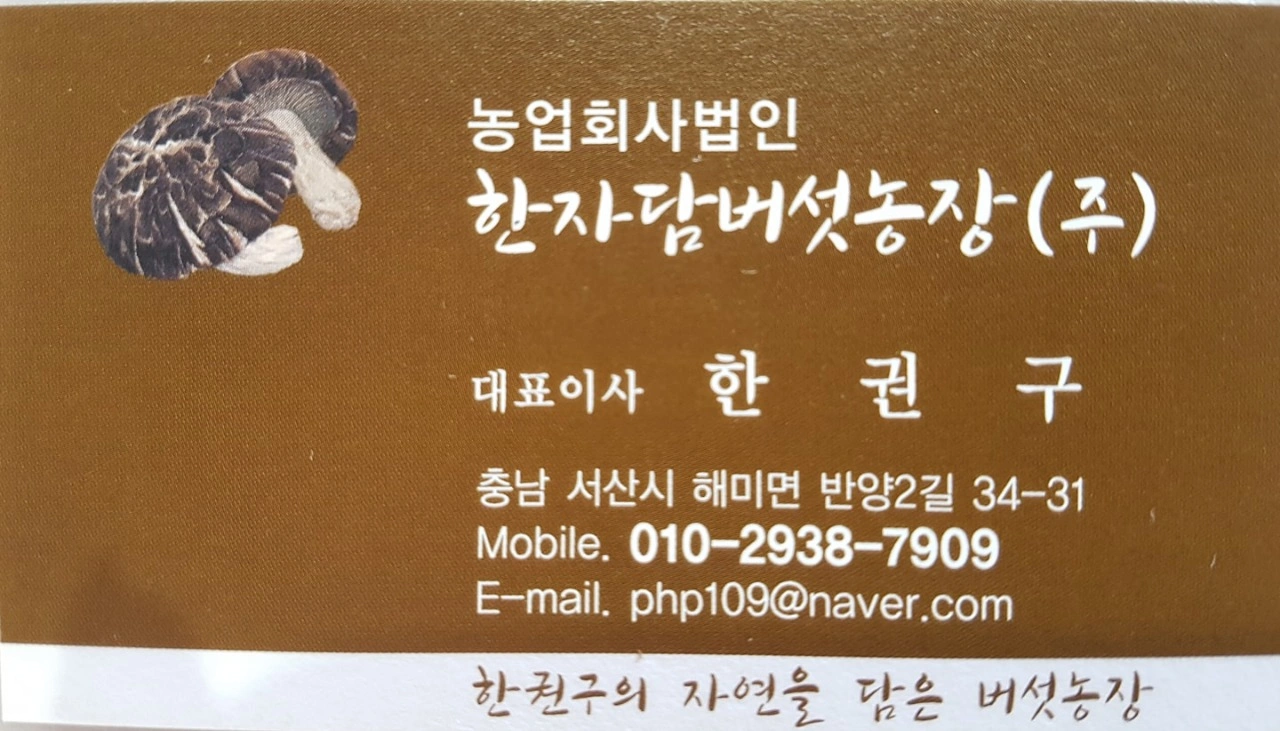 차가버섯균사체 400g 썸네일 3