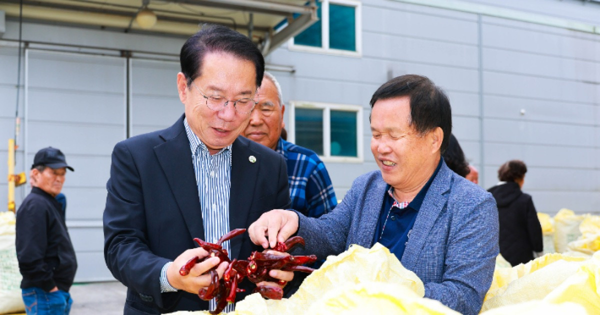 괴산고추조합공동사업법인 자수연 고추씨기름 300G 썸네일 2