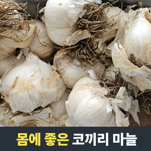 더알찬 마늘쫑지 벌크 썸네일 2
