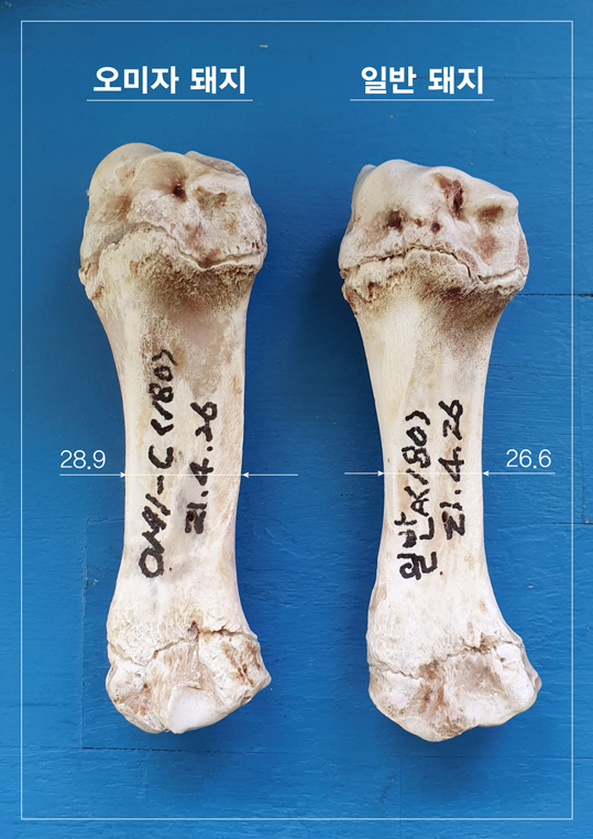 두루존 오미자 캔디 썸네일 2