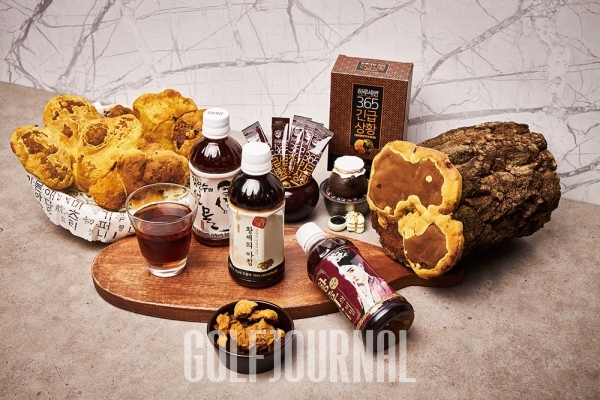 상황버섯균사체300g 썸네일 2