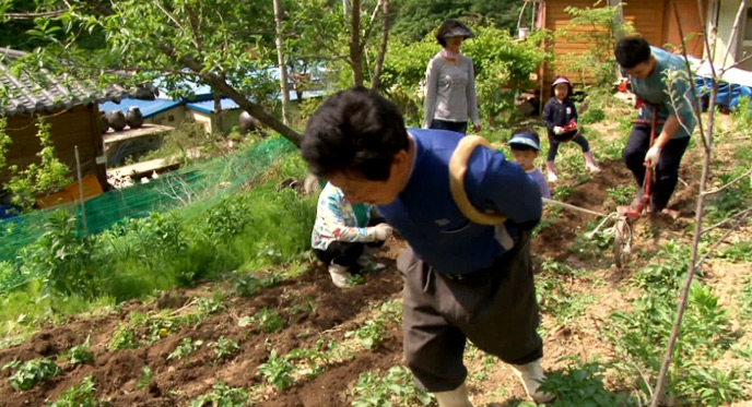 산골오가피열매 썸네일 2