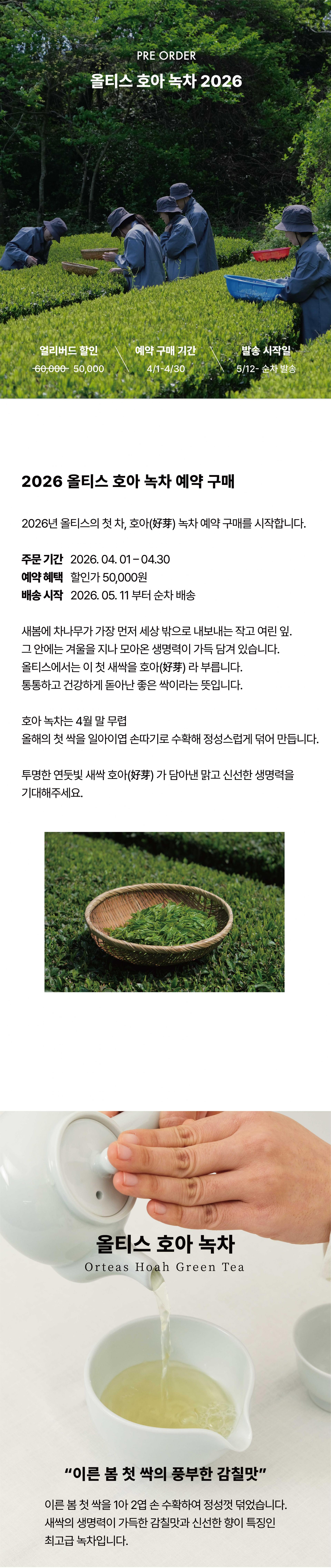 녹차라이스 썸네일 3