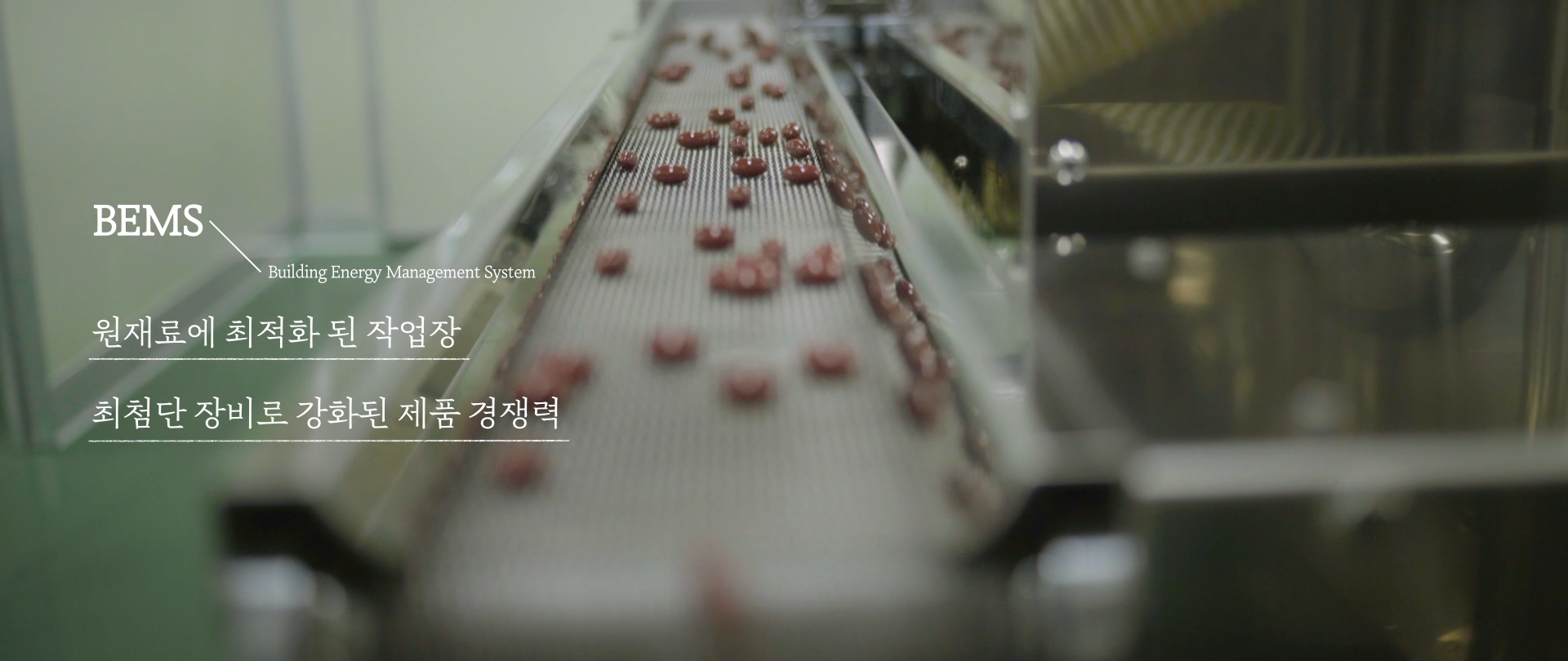 한풍네이처팜 웅진프로틴게이너 4kg 썸네일 3