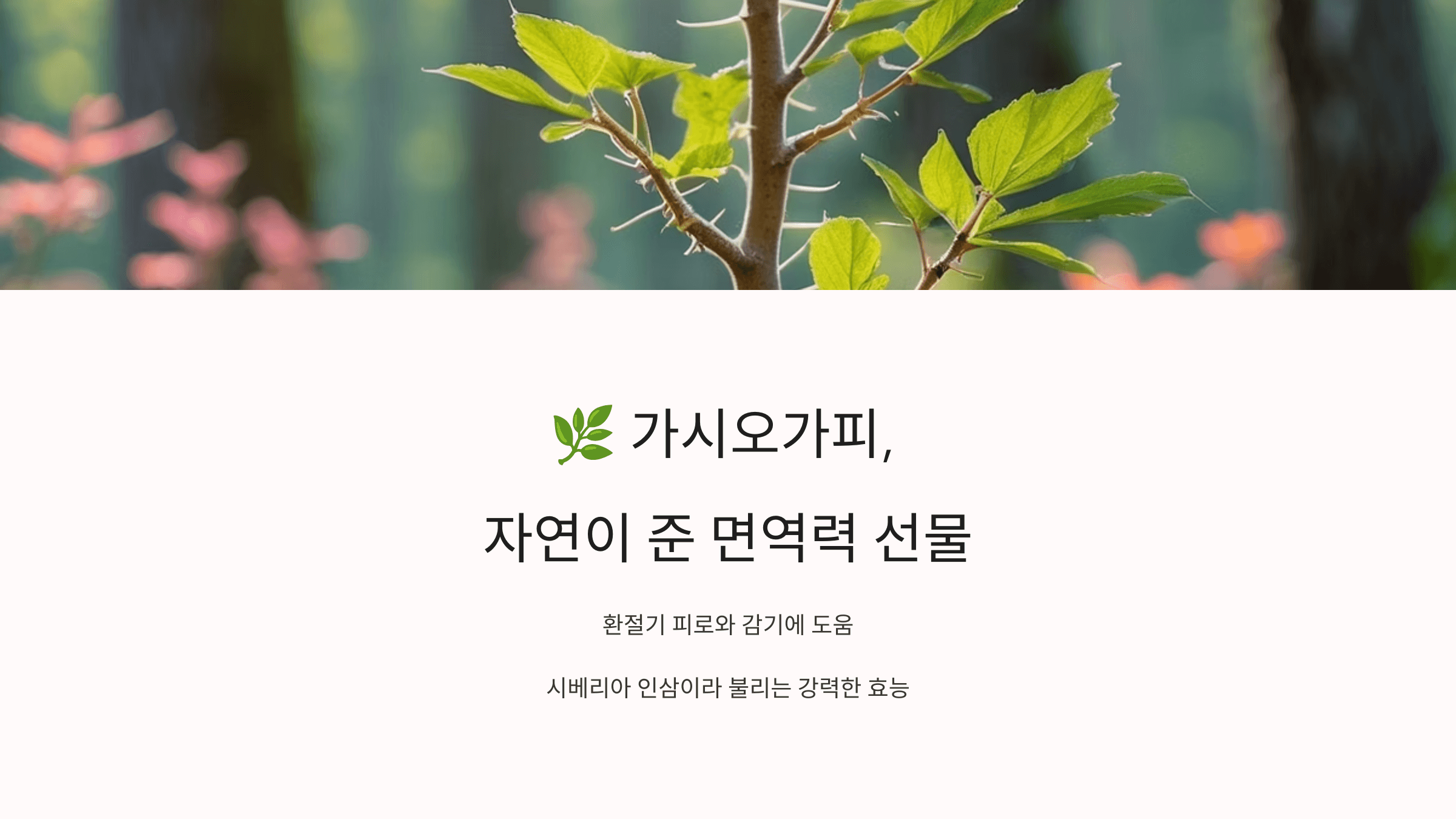 (주)대은바이오 토종가시오가피골드 썸네일 3