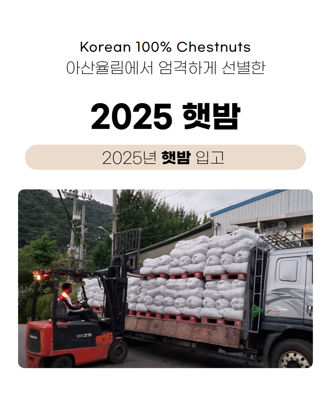 참맛촌 오징어젓 2kg 썸네일 3