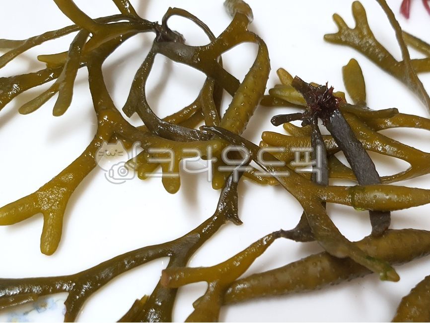 해초문어가마보꼬바 썸네일 2