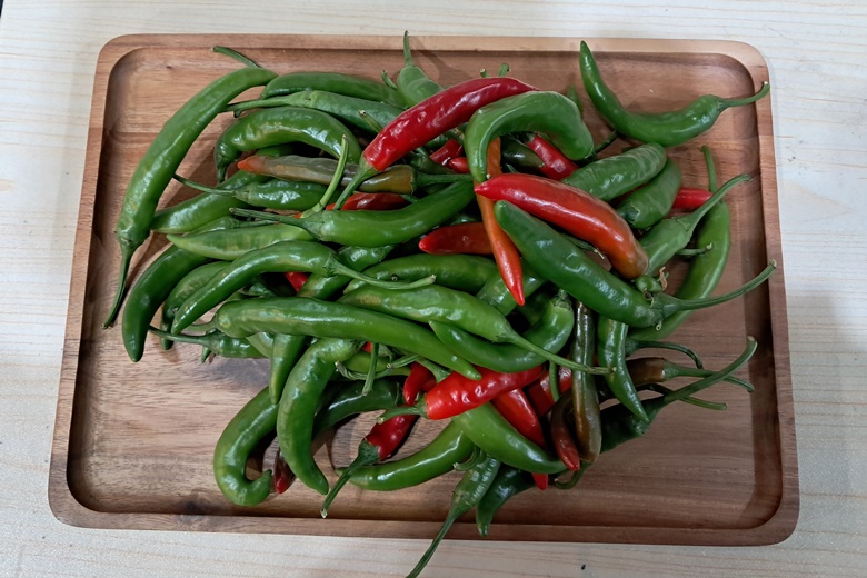 산천고추 5kg 썸네일 2
