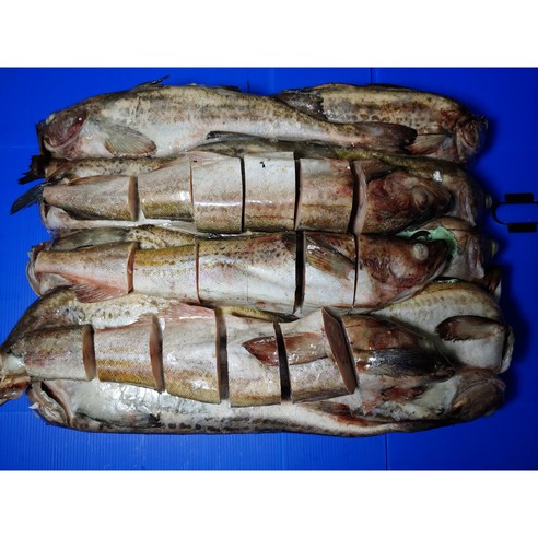갈치토막 5kg 썸네일 2