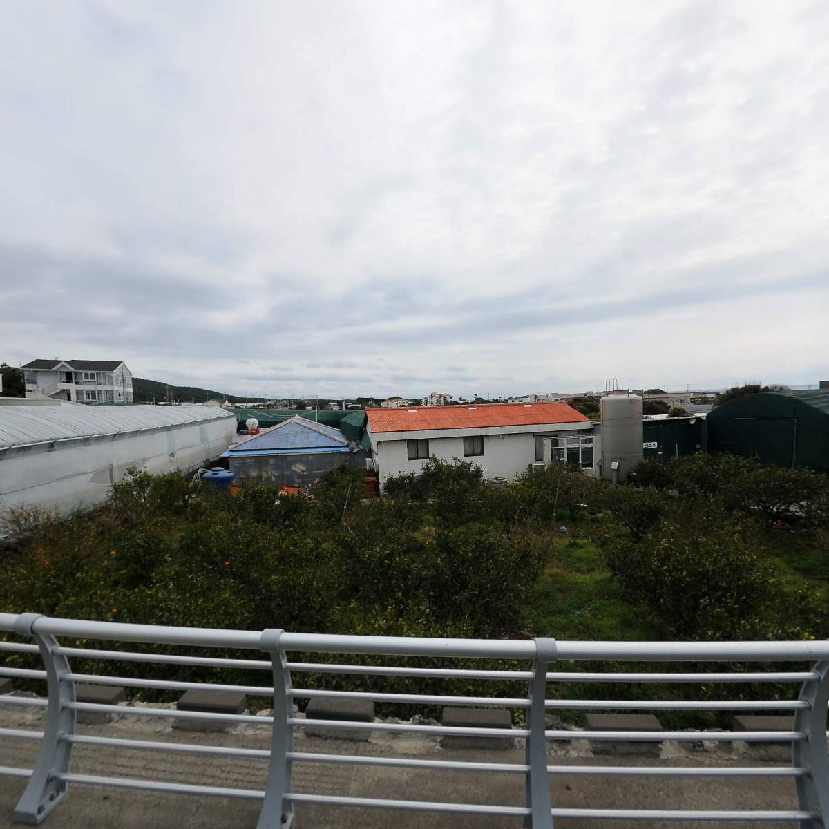 제주산소수 0.5리터 X 24병입 썸네일 2