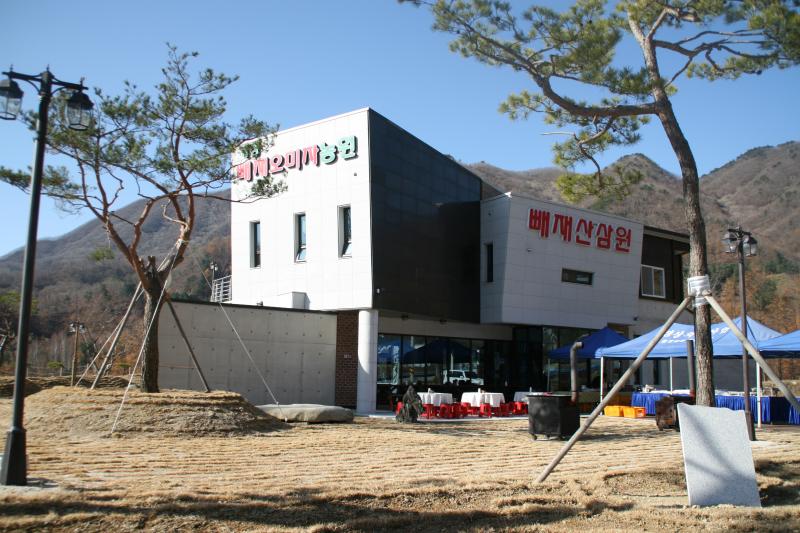 골드오미자차 大 썸네일 2