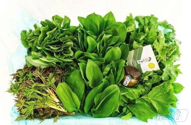 산채로비비고500g 썸네일 3
