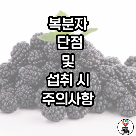 복분자350 썸네일 3