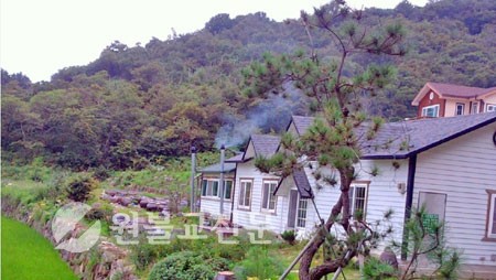 지리산알천 산마늘잎장아찌 썸네일 2