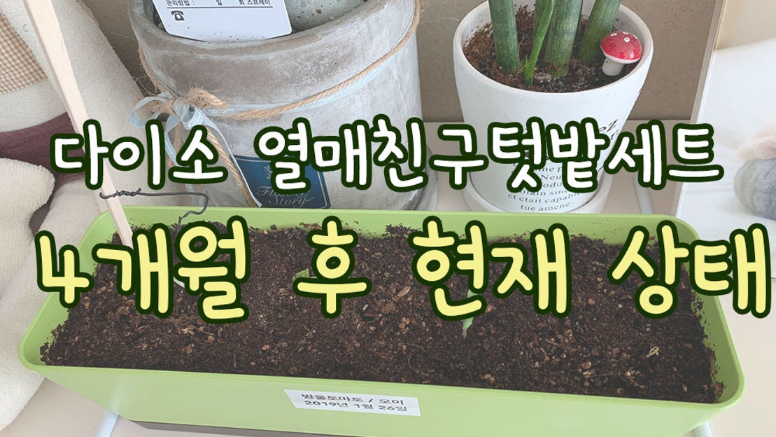 열매친구텃밭세트 썸네일 2