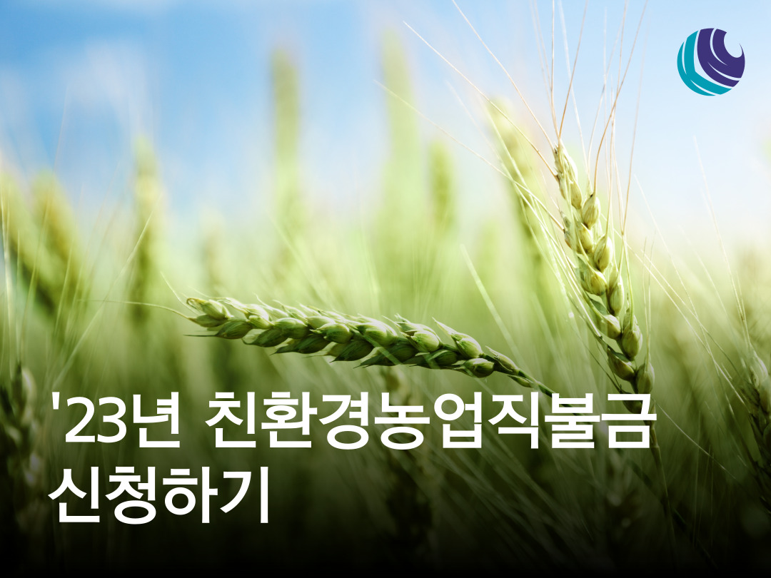 쌀모닝 썸네일 3