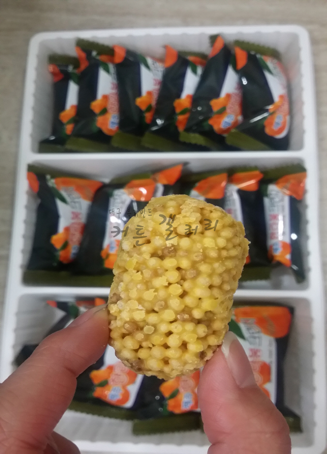 한라봉크런치 120카툰 썸네일 2