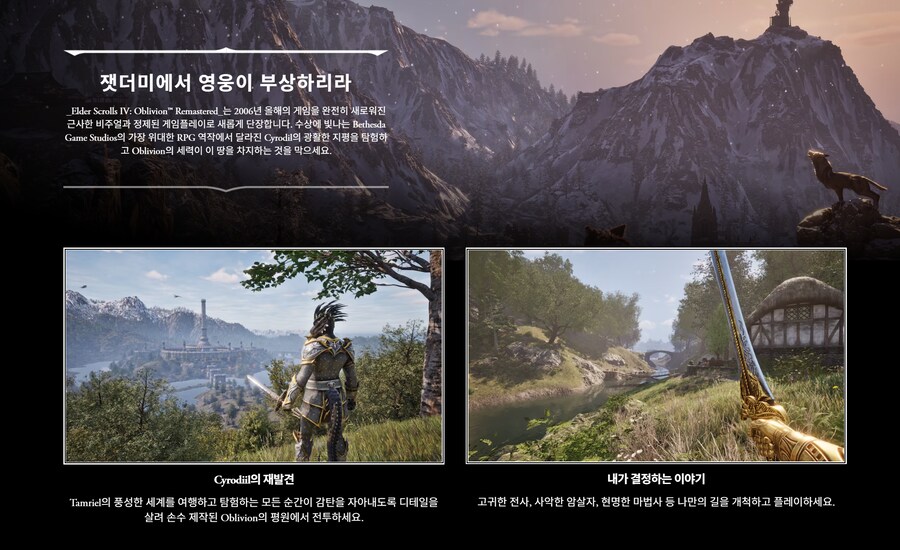블루베리썸 썸네일 2