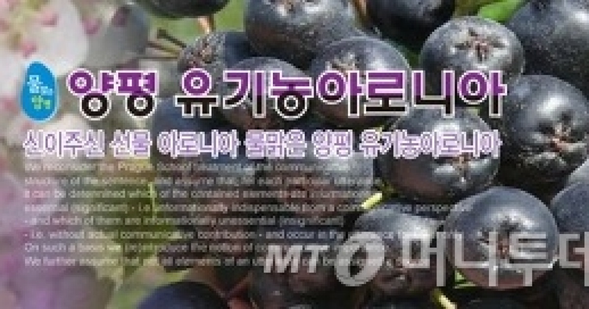 양평아로니아100 썸네일 3