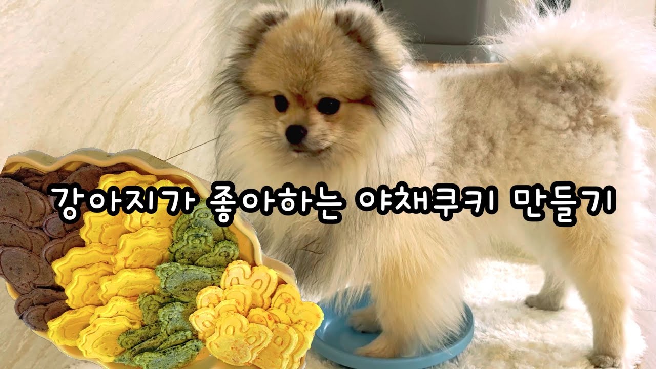 야채쿠키 썸네일 2